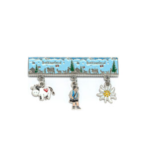 Image of Metallmagnet Switzerland long